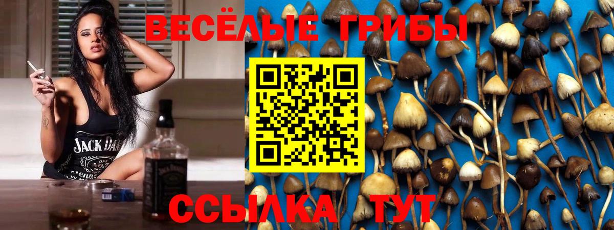Псилоцибиновые грибы Psilocybine cubensis  Псилоцибиновые грибы Magic Shrooms  Татарск  Вход с VPN 